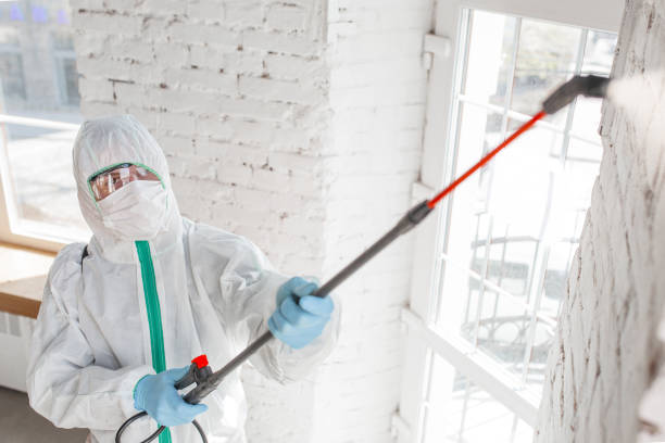 Best Mold-Related Health Consultation  in Reedurban, OH