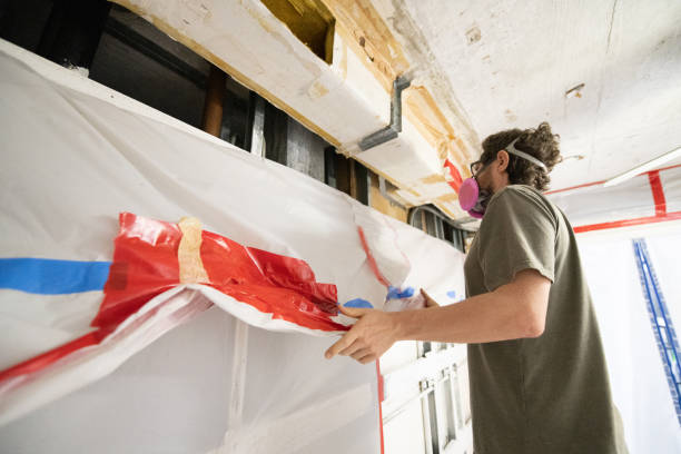 Best Black Mold Removal  in Reedurban, OH